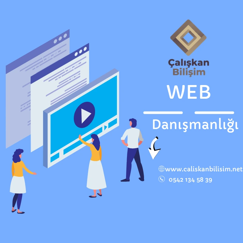 Web Danışmanlığı